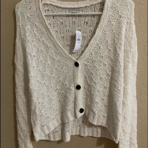 American Eagle Crop Sweater